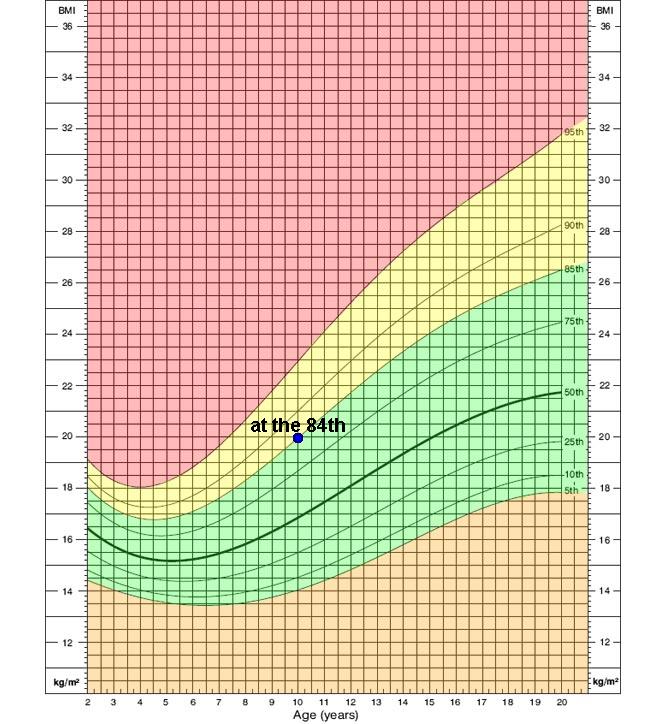 body mass index calculator children body mass index calculator children