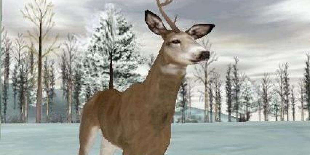 Deer Hunter 4 - Various Cheats