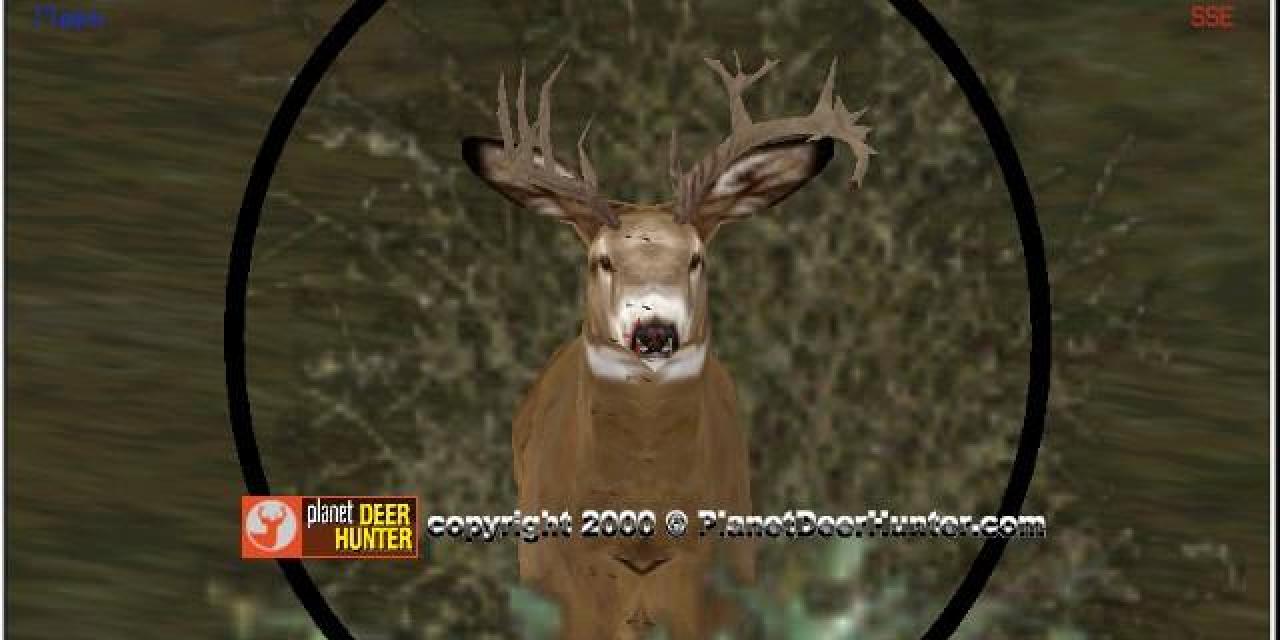 Deer Hunter 4