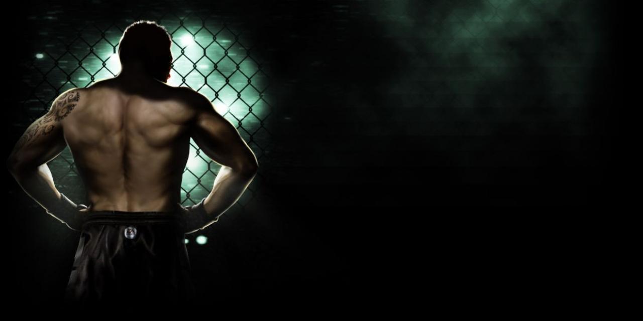 EA Enters The Mixed Martial Arts Cage With Ea Sports MMA