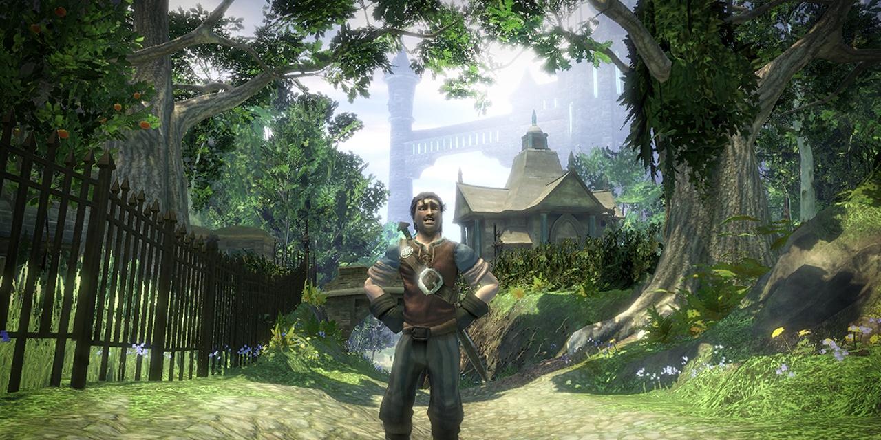 Online Co-op Won't Be Available In Fable 2 At Launch
