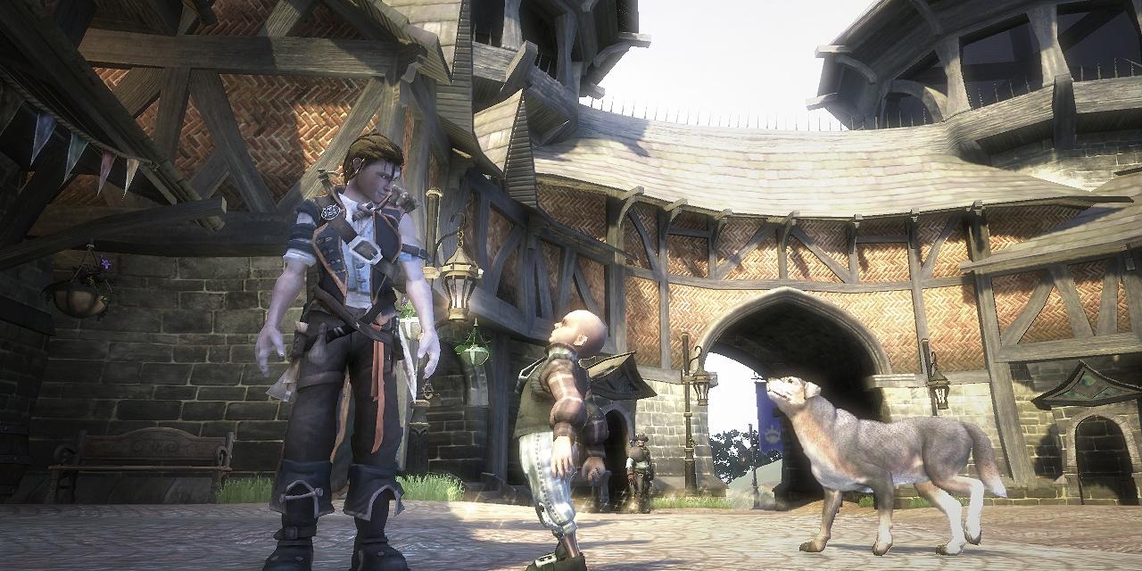 Online Co-op Won't Be Available In Fable 2 At Launch