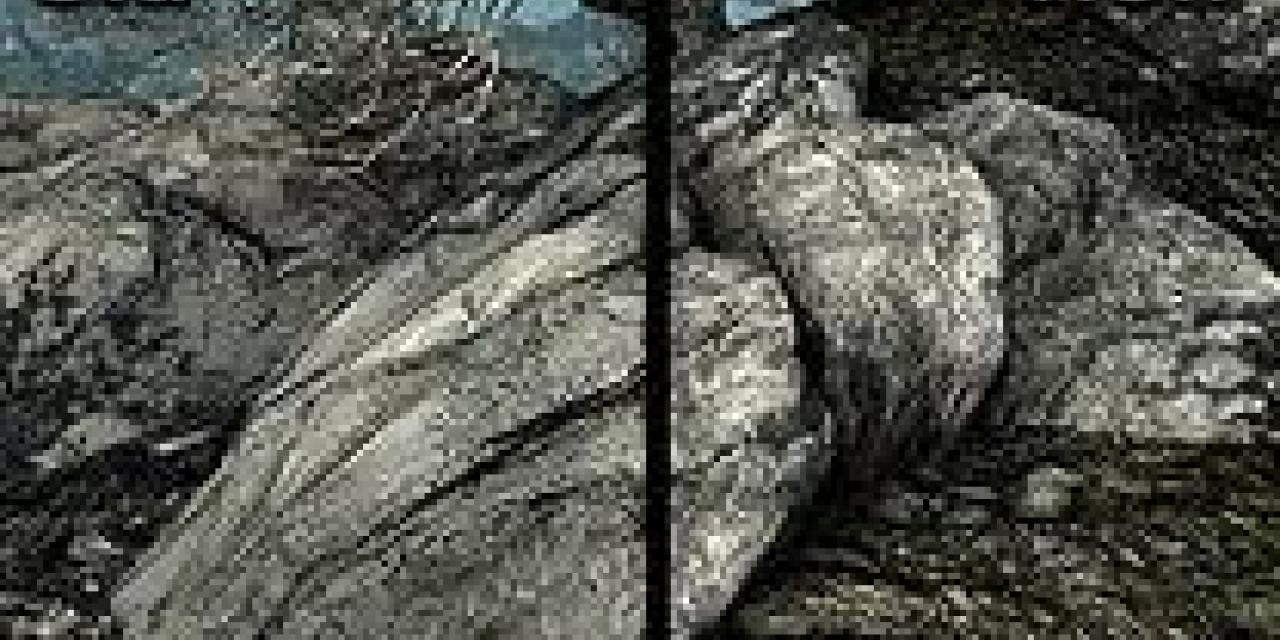 The Elder Scrolls V: Skyrim - Improved Rock and Mountain Textures High Mod v1.0