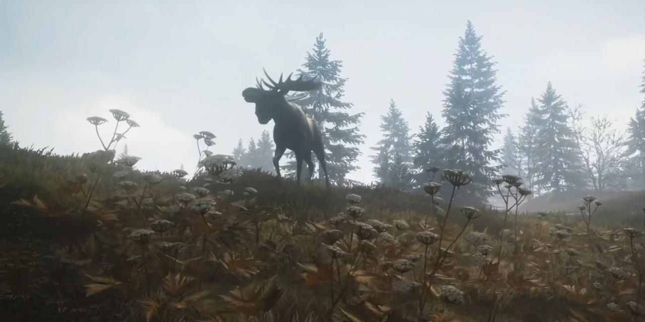 The Hunter: Call of the Wild is the prettiest hunting game to date