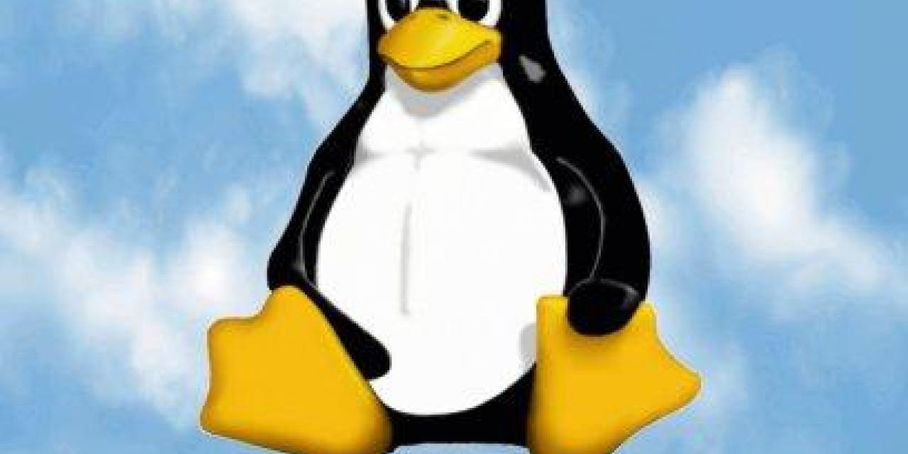 Microsoft: Linux 98 ?