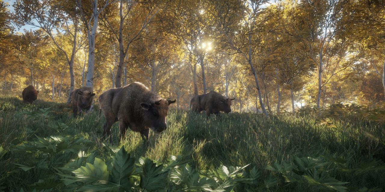 theHunter Call of the Wild v1.0-v1.21 (+13 Trainer) [FutureX]