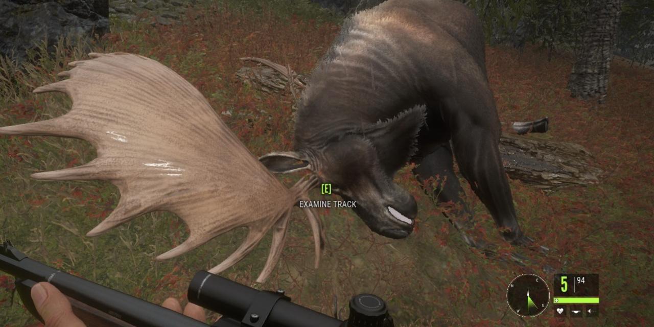 theHunter Call of the Wild v1.17 (+13 Trainer) [FutureX]