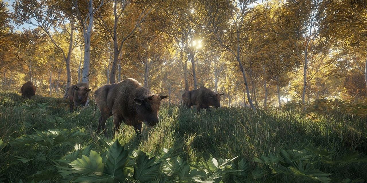 theHunter: Call of the Wild v1.0-v1.19 (+13 Trainer) [FutureX]