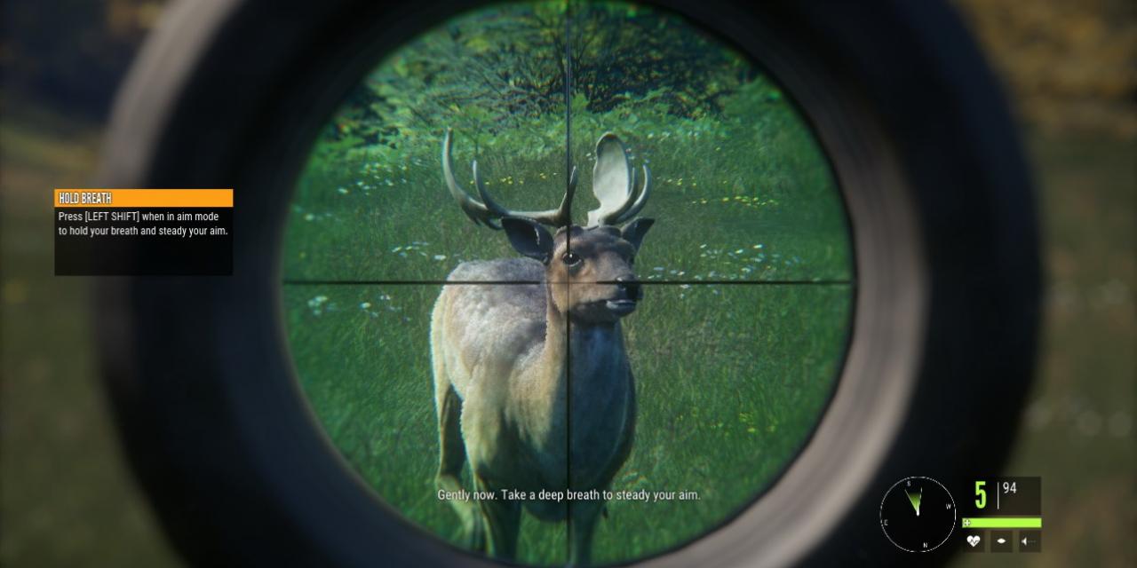 theHunter: Call of the Wild