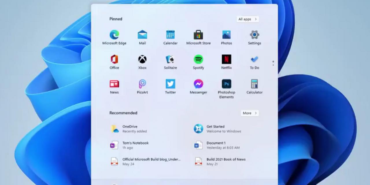 First look at Windows 11 Pro leaks