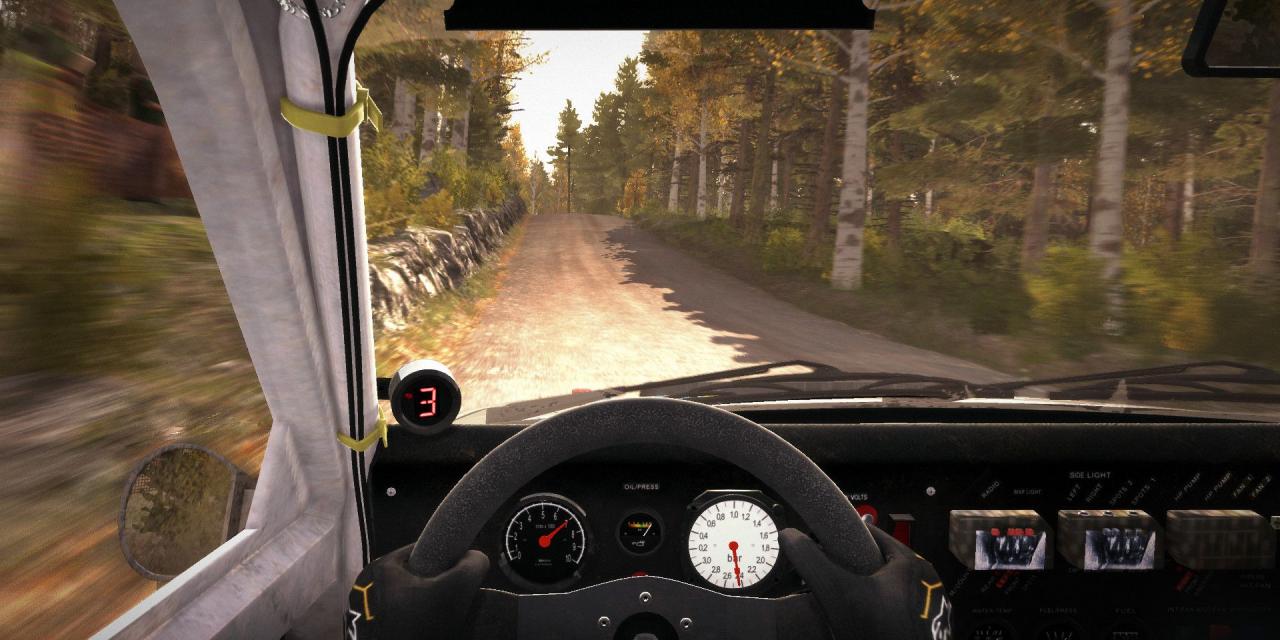 DiRT Rally Steam (+5 Trainer) [3DM]