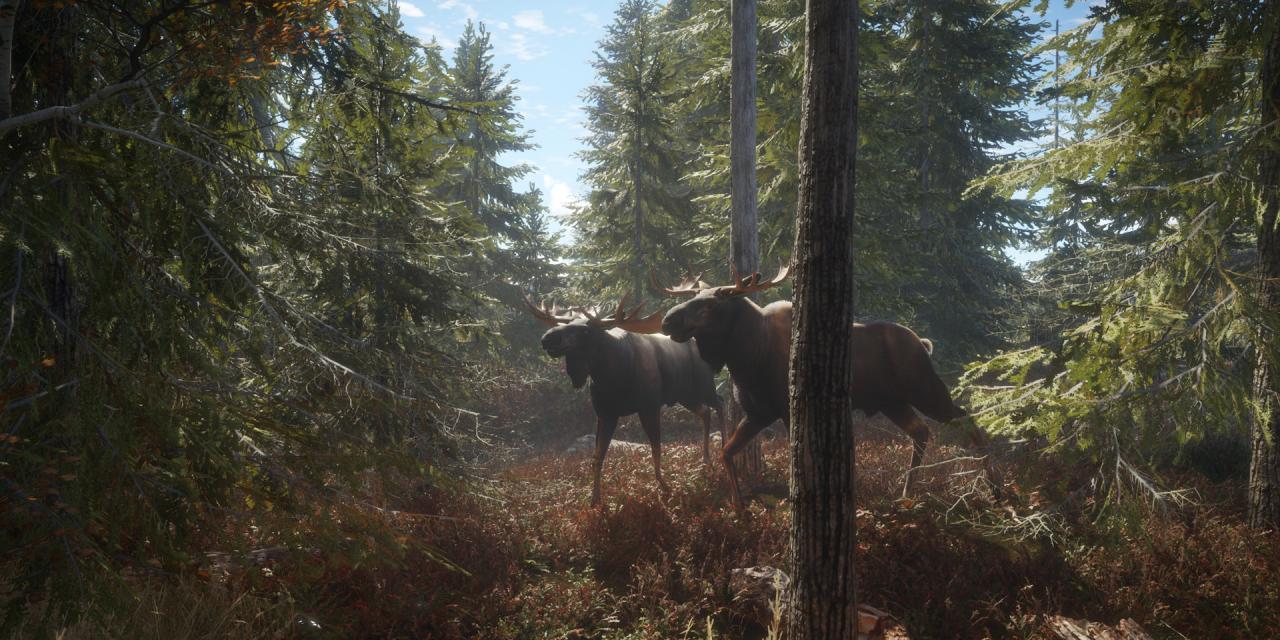 PLITCH Trainer For theHunter - Call of the Wild