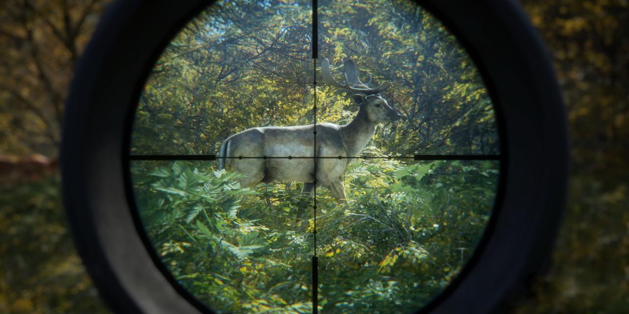 PLITCH Trainer For theHunter - Call of the Wild