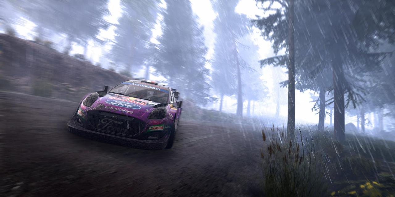 WRC Generations (+9 Trainer) [Cheat Happens]