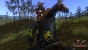 mount and blade warband silverstag