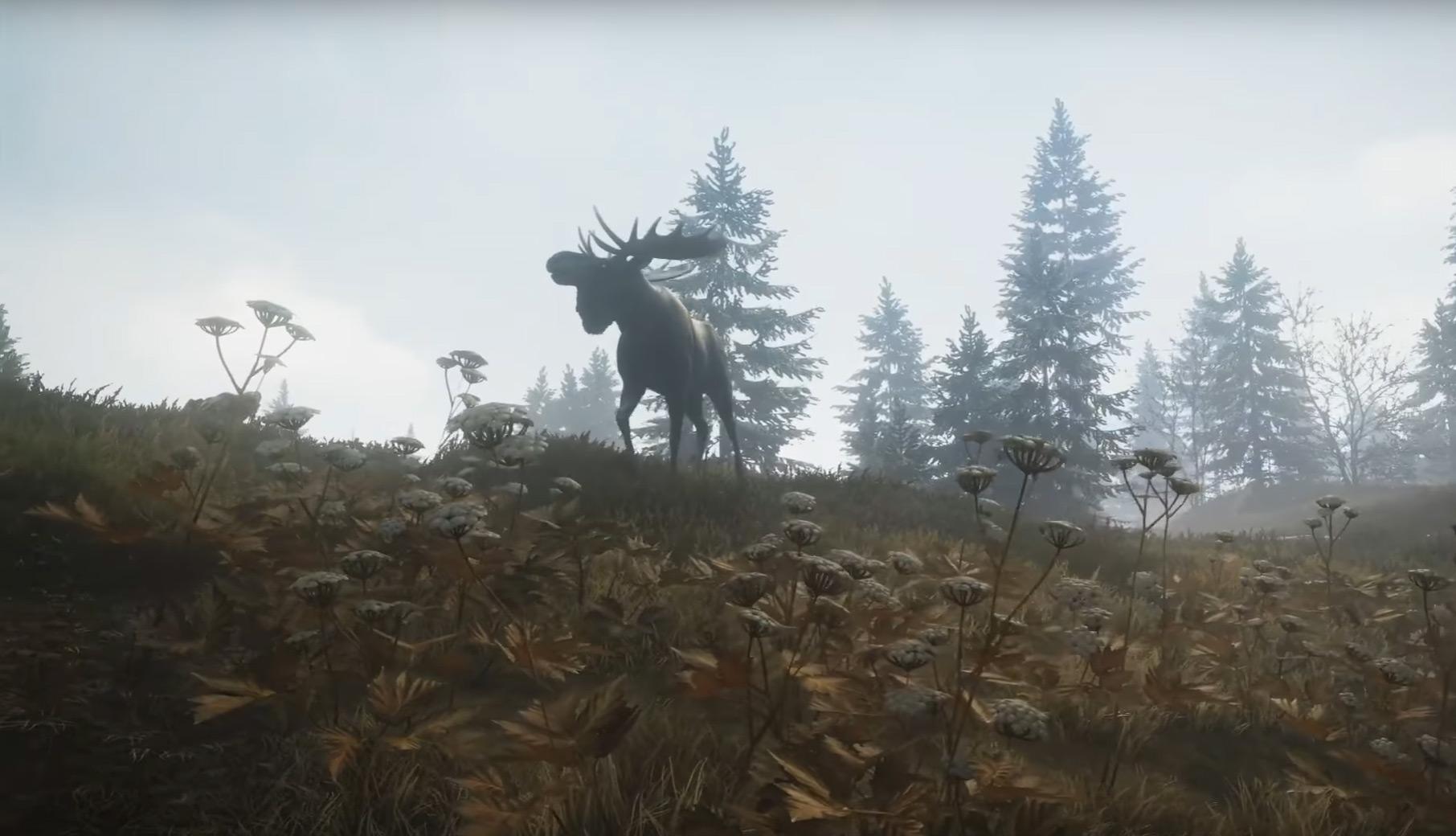 how to access goose decoy thehunter call of the wild pc how to access goose decoy thehunter call of the wild pc