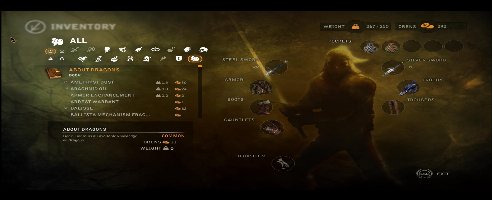 The Witcher 2: Assassins of Kings - Panel Tweaks Mod