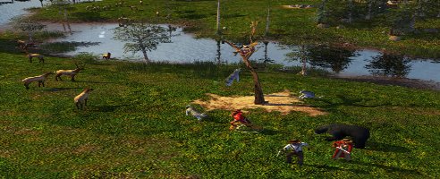 Age of Empires III – Effect  Code
