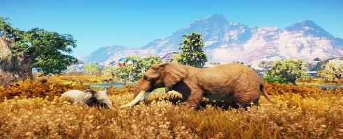 Animallica