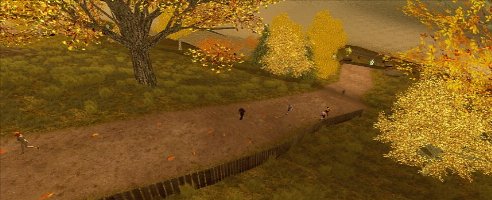 Autumn Sunshine (automatische Installation)
