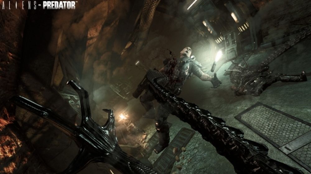 New Aliens VS Predator Confirmed And Detailed