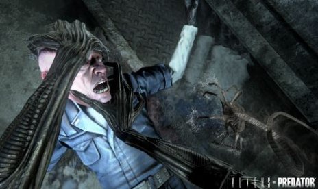 Alines Vs Predator Banned In Australia. No Toned Down Version Planned