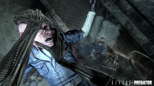 Alines Vs Predator Banned In Australia. No Toned Down Version Planned