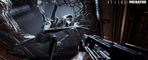 Aliens vs Predator Ban Reversed