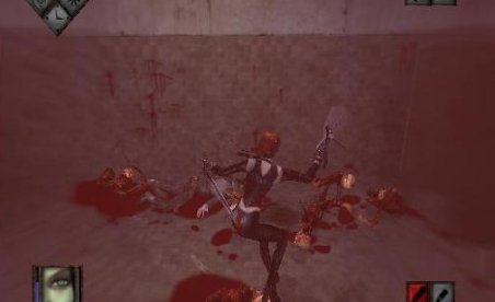 Bloodrayne – Various Cheats