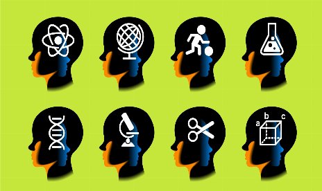 Stanford Scientists Dispute The Effectiveness Of Brain Training Games