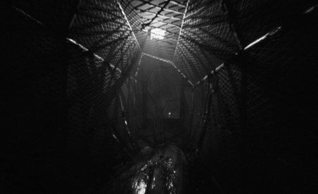 Cardiac Free Full Game