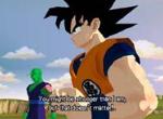 Der GameCube bekommt Budokai