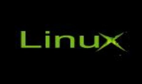 Linux on XBox  has a Price on its Head