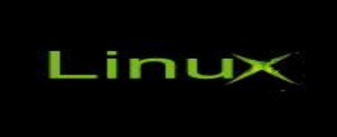 Linux on XBox  has a Price on its Head