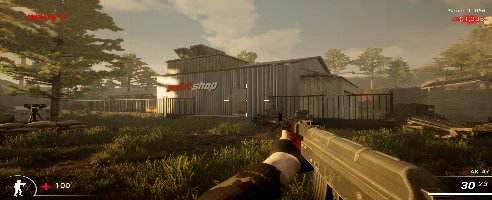 Combat Force (+5 Trainer)