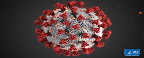 Sie können mit Ihrem PC und Folding@Home zur Bekämpfung des Coronovirus beitragen