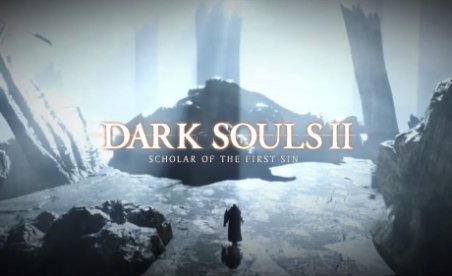 Dark Souls II: Scholar of the First Sin v1.01 (+25 Trainer)