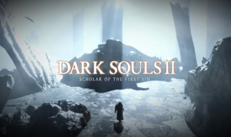 Dark Souls II: Scholar of the First Sin v1.01 (+24 Trainer)