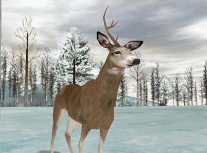 Deer Hunter 4