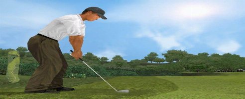 [Period]Tiger Woods PGA Tour 2002 (+2 Entrenador)