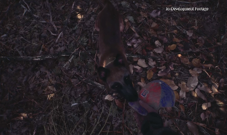The Blair Witch game no one asked for actually looks quite good