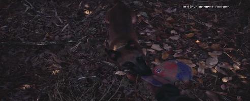 Das Blair Witch-Spiel, nach dem niemand gefragt hat, sieht eigentlich ganz gut aus