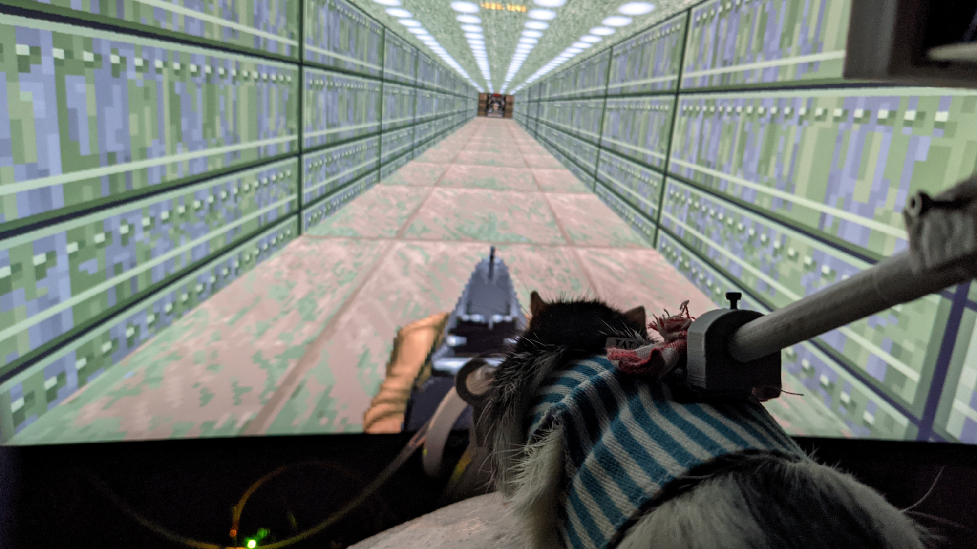 A Neuroengineer managed to train rats to play Doom