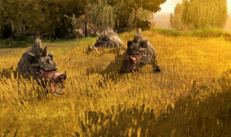 Neverwinter Nights 2 v1.05.912 (+8 Trainer)