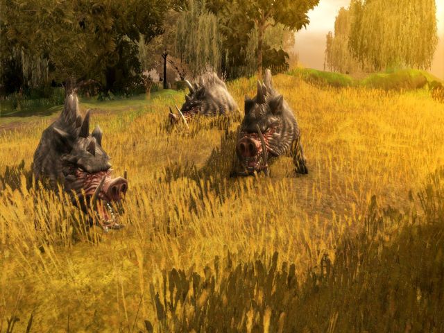 Neverwinter Nights 2 v1.06.973 (+8 Trainer)