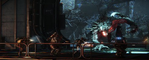 Evolve Stage 2