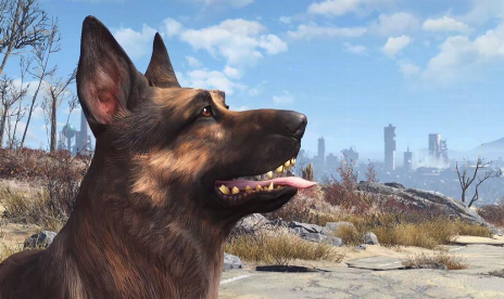 Les joueurs de Fallout 4 peuvent faire la promotion de "tous les humains" dans leurs 12 compagnons