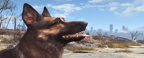 Les joueurs de Fallout 4 peuvent faire la promotion de "tous les humains" dans leurs 12 compagnons