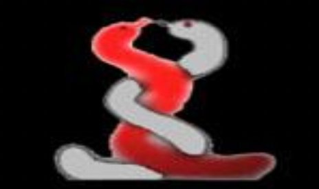 Combat Snakes