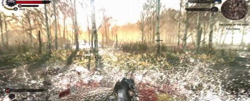 New Witcher footage is very pretty